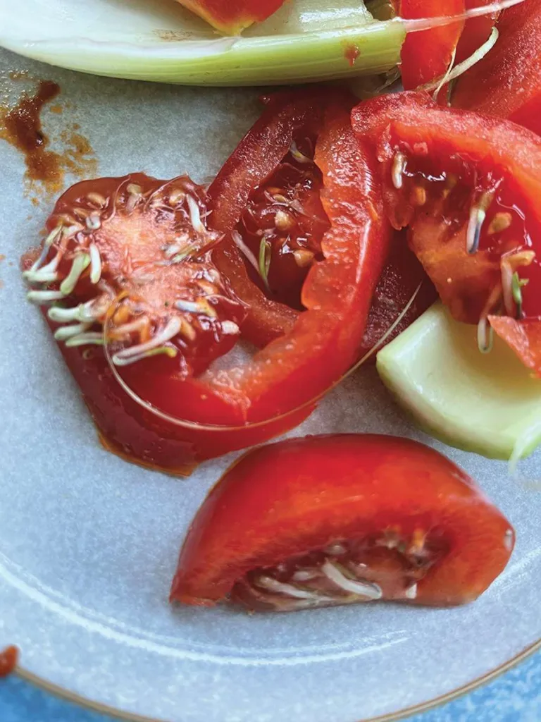 Tomatoes