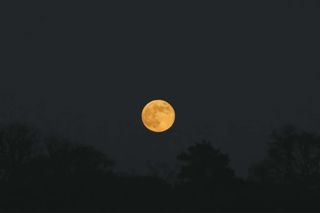 Wes Moon