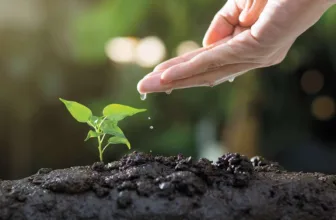 Small Changes for a Greener Garden