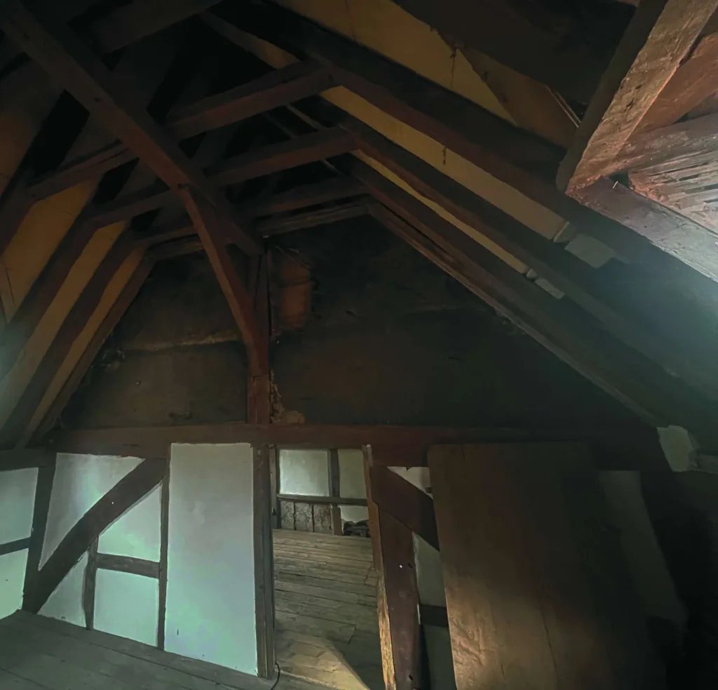 wattle and daub upper wall cropped