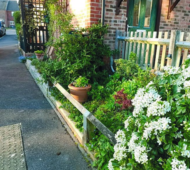 A roadside front garden brimming with plants and flowers beside a brick cottage
