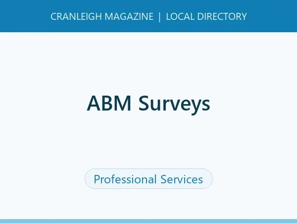 ABM Surveys