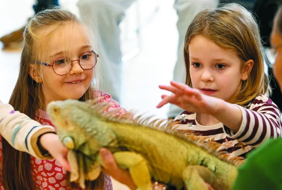 A child meeting an exotic animal at a One World Animals encounter
