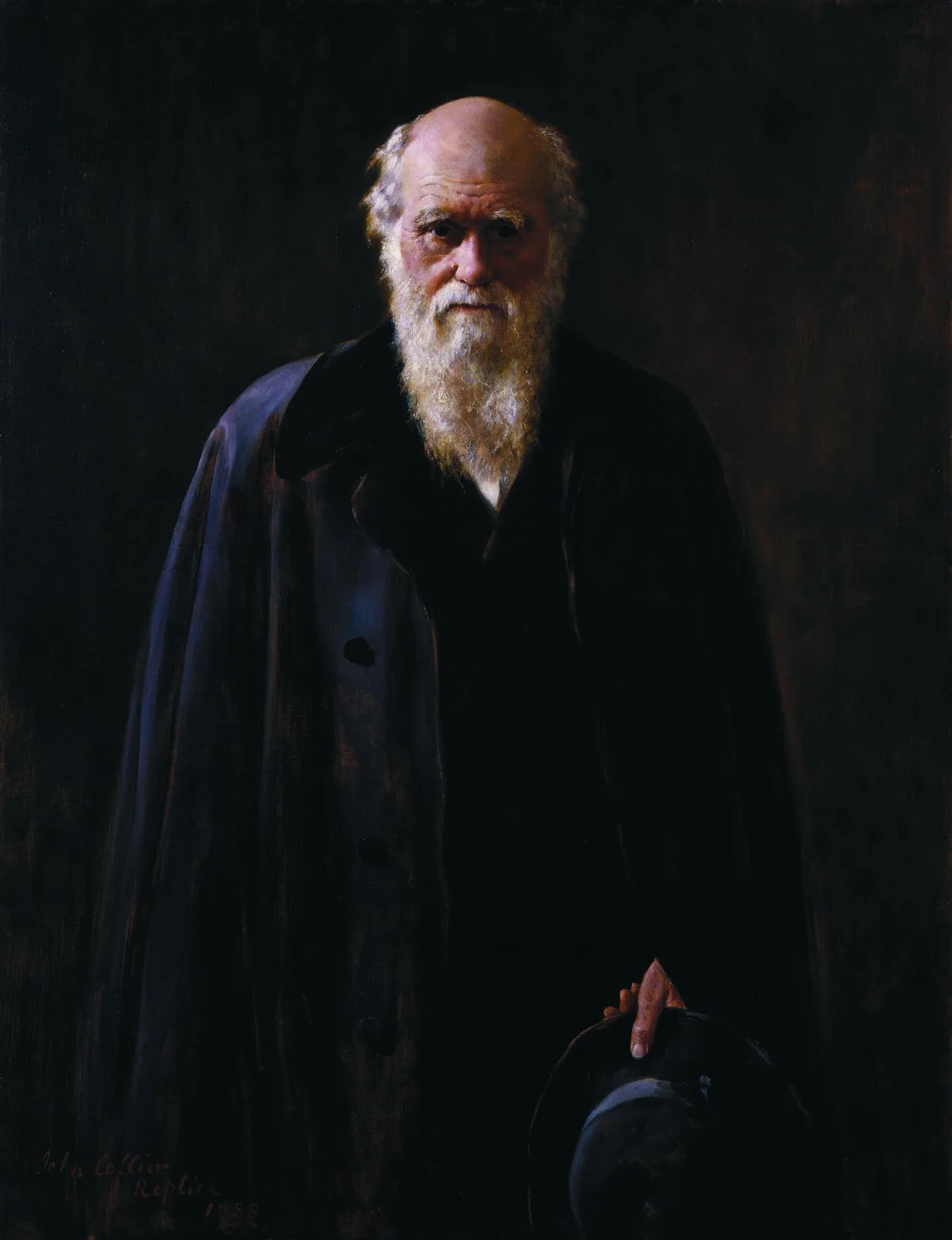 A portrait of Charles Darwin
