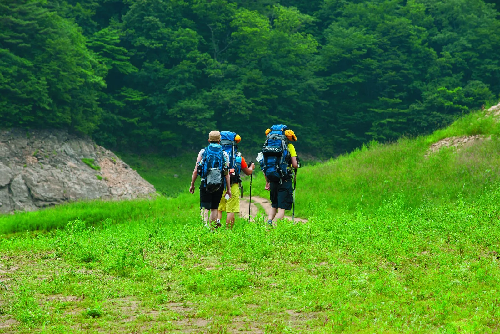 A group of people out walking together in the countryside