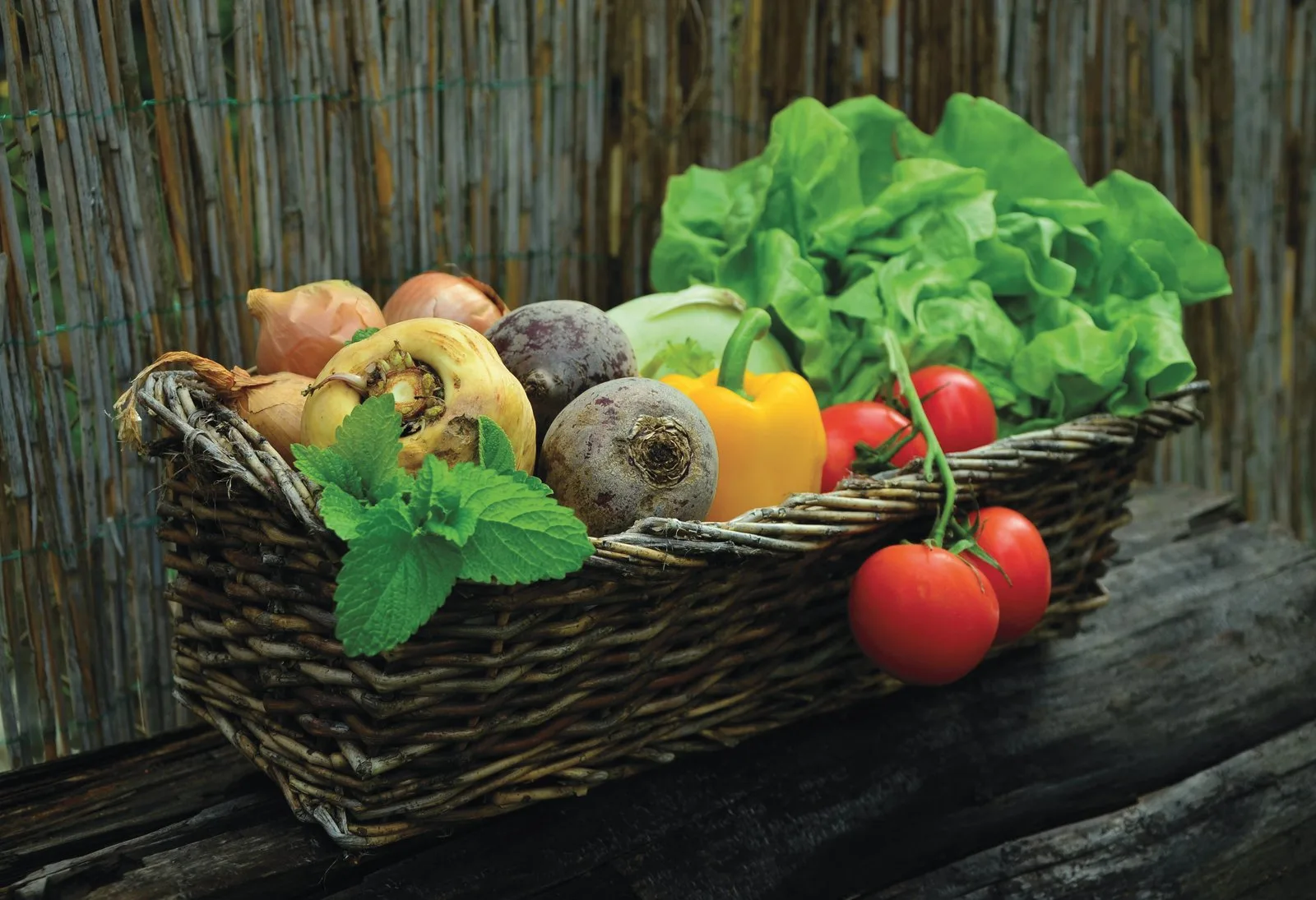 A wicker basket of fresh vegetables including tomatoes, peppers, beetroot and lettuce