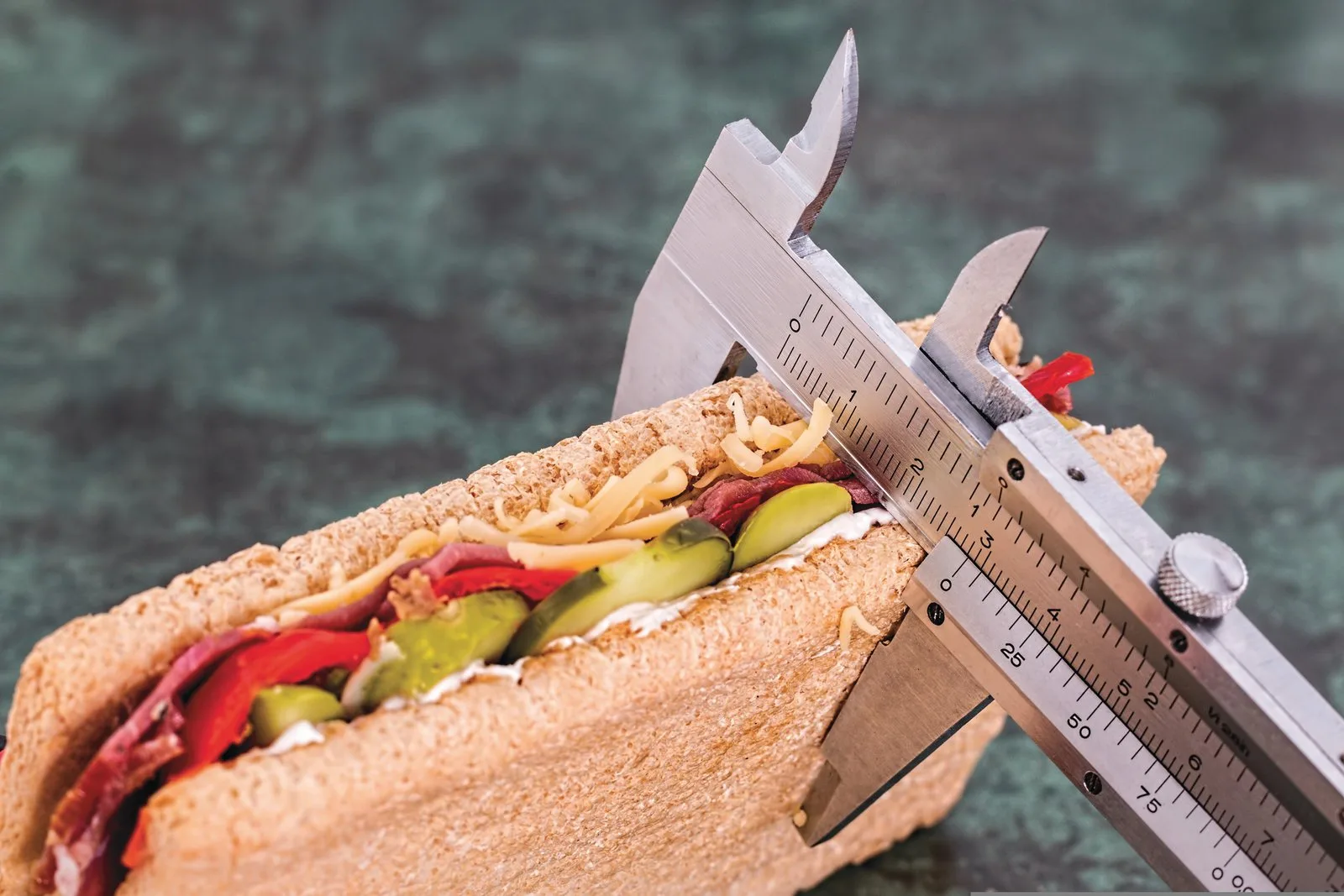 A wholemeal sandwich being measured with a metal calliper