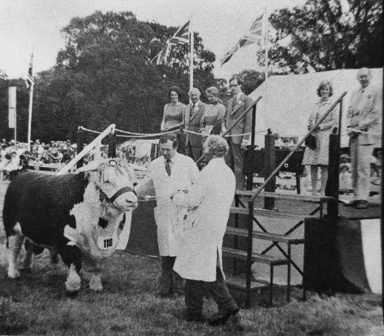 A prize-winning bull being shown at the Cranleigh Show in 1975