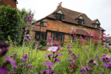 Triple Win for Cranleigh in Bloom at Regional Awards