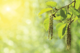 Wild Wonders – May 2023