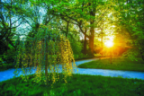 Wild Wonders – March 2025