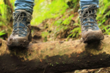 Why Remove Your Shoes? – Penny Lynch