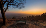 Poets Corner – February 2021 – Raymond Holt