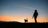 People Profile – Sara Bridgeman – Dog Trainer