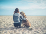 Hound Holiday! – Sara Bridgeman