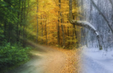 Poets Corner – Seasons – September 2021