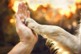 A True Best Friend! – Sara Bridgeman