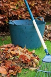October 2019 – Magic Garden Tips!