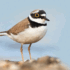 Wild Wonders – May 2023