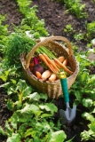 August 2019 – Reaping The Benefits