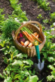 August 2019 – Reaping The Benefits