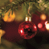 Tifel, Tafel and Tofel @ Cranleigh Arts Centre – Wednesday 21st December 7pm