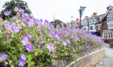 What has Cranleigh In Bloom done this year?