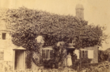 Joy of Cranleigh – Buildings With a Story – September 2020