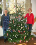 Cranleigh Rotary’s Plastic-Free Christmas Tree