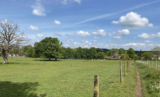 Counting Steps – Chinthurst Hill and The Grantly Arms Walk – AllTrails