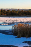 Cranleigh Camera Club Annual Exhibition