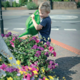 Colours in Cranleigh