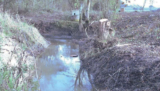 Cranleigh Community Rivers Project