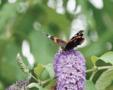 Wild Wonders – September 2023