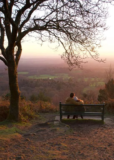 Have a Heart For Cranleigh