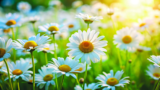 Wild Wonders – April 2025