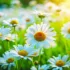 Stay Hydrated: Why Water is Essential for Your Health