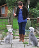 Is Your Dog Green? – Sara Bridgeman