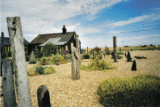 Wild Wonders – August 2023