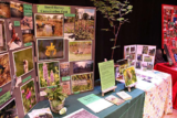 Cranleigh Eco Festival – A Debrief – Sharon Duggan