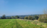 Counting Steps – Godalming and Eashing Circular – AllTrails