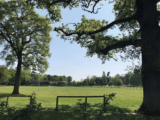 The Joy of Cranleigh – They Came to Cranleigh: Bruce McKenzie, owner of Knowle, 1970-78