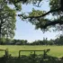 People Profile – From Karoi to Cranleigh: Crocodiles, courage and lessons learnt