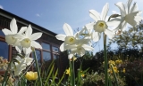Ellens Green &  Rudgwick Gardening Association