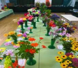 Ewhurst Horticultural Society Autumn Show 2025