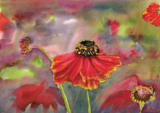 Love Garden Life – August 2022