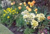 Garden Life – Managing Our Water Usage – Gill Ford