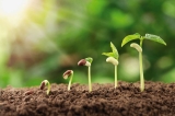 January 2019 – New Beginnings in our Gardens