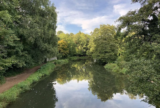 Counting Steps – Guildford and the River Wey – AllTrails