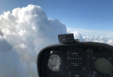 Poets Corner – Wings – August 2021